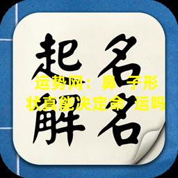 运势网：鼻  子形状真能决定命  运吗